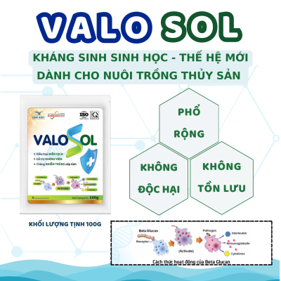 VALOSOL