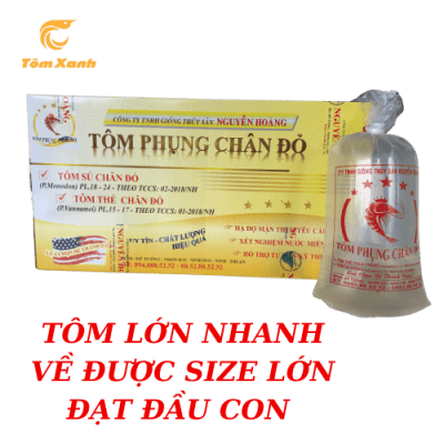 THẺ PHỤNG CHÂN ĐỎ
