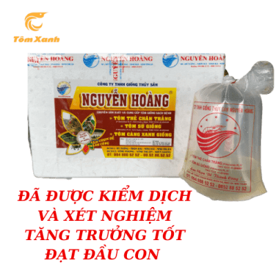 THẺ NGUYỄN HOÀNG