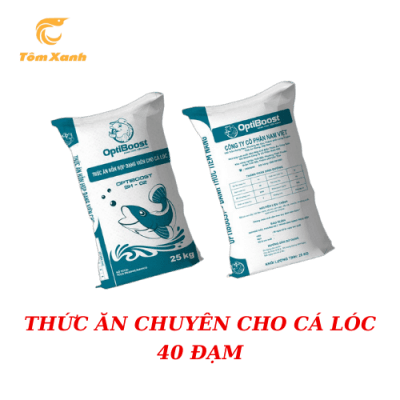HH CHO CÁ LÓC - 40 ĐẠM
