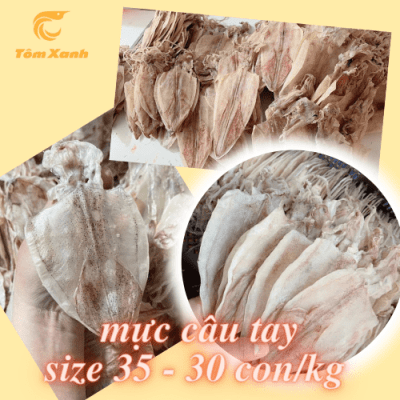 MỰC CÂU TAY SIZE NHỎ VỪA